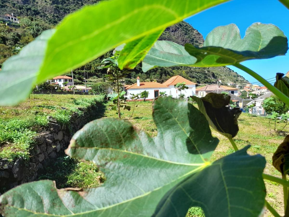 Casa Do Bago Βίλα São Vicente Εξωτερικό φωτογραφία
